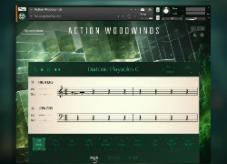 Native Instruments Action Woodwinds